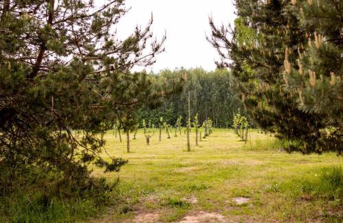 Rakow Maison | Agroturystyka Głuchowskie Specjały