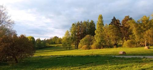 Nowa Ruda Appartement | Agroturystyka Jak Makiem Zasiał Dworki 10