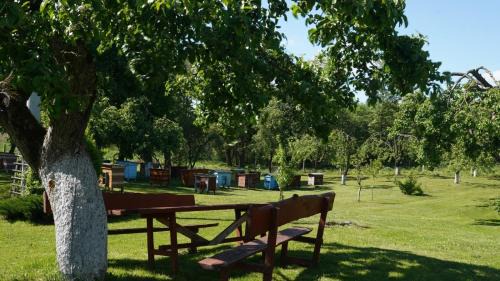 Sejny Maison | Agroturystyka nad jeziorem Gaładuś