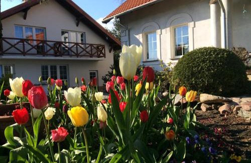 Blanki Maison | agroturystyka Orzechowe Wzgórze