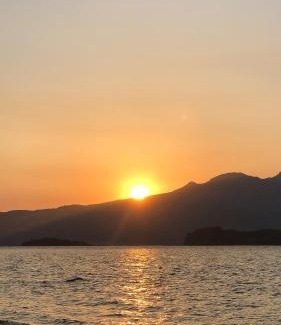Morong Appartement | AGTA Nest Loft in Subic Bay with Self-Serve Breakfast - WiFi, Monkeys, Pet Friendly with a Fee