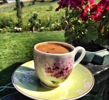 Yenisehir Chalet De Ski | AHŞAP EV, DOĞAL YAŞAM, MÜKEMMEL DOĞA, KUŞ SESLERİ