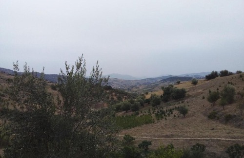 Zoumi Maison | Ahmed Guest House