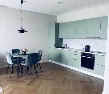 Panevezys Appartement | Ainių gatvės apartamentai