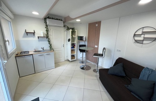 Loire-sur-Rhone Appartement | Studio climatisé, indépendant avec terrasse privative