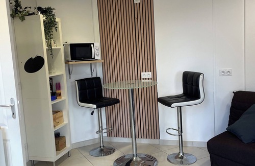 Loire-sur-Rhone Appartement | Studio climatisé, indépendant avec terrasse privative