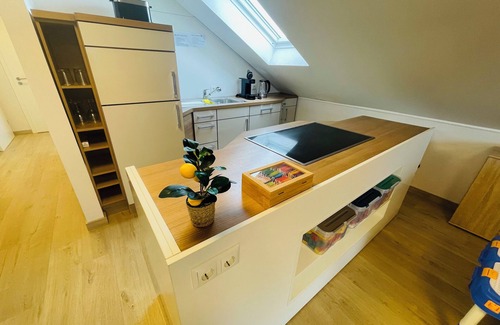 Sinzenich Appartement | Air-conditioned Holiday Apartment near the Lake