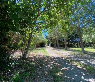 Fabregues Autre | Aire d accueil pour camping cars dans un domaine agricole