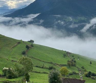 Brez Maison | AIRE DE PICOS Sur