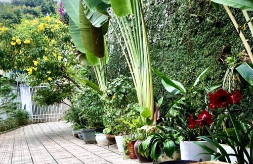 Cao Bang Appartement | AK Homestay - Cao Bang City