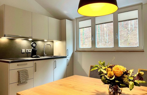 Hassmersheim Appartement | Akazie - Siegelsbacher Mühle