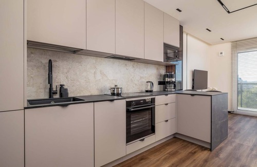 Tychy Appartement | Al. Bielska 129 Tychy | Air Conditioned Studio with Parking and Mountain View
