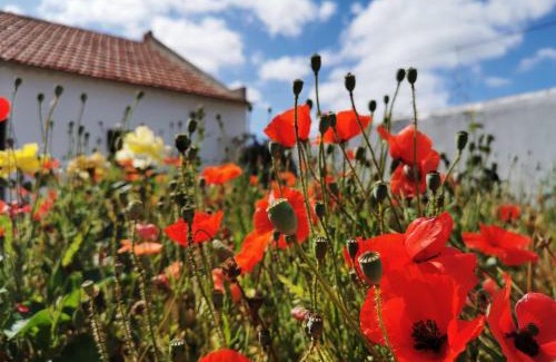 Sao Luis Appartement | AL MAR Guesthouse