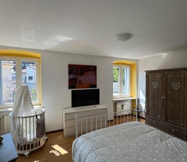 Gorizia Appartement | Al vecchio convento, centro storico
