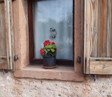 Ponte nelle Alpi Maison | Al Viandante Casa Rosa