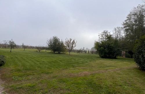 Suzzano Maison | Al Vigneto