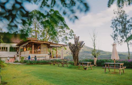 Kedisan Autre | Alam Caldera Camp & Resto