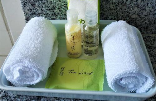 Ciudad Cariari Hôtel | Alameda Cariari Boutique Hotel