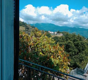 Ossegna Hôtel | Albergo Belvedere