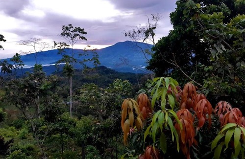 Pacuare Reserve Maison | Albergue Las Colinas