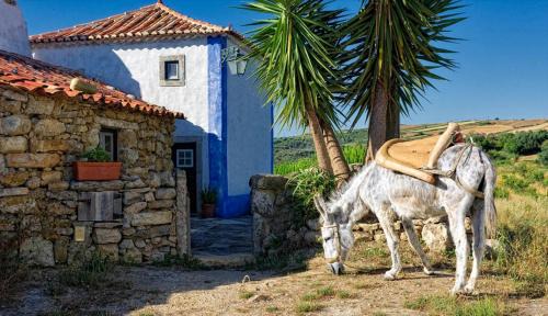Aldeia da Mata Pequena Station Balnéaire | Aldeia da Mata Pequena