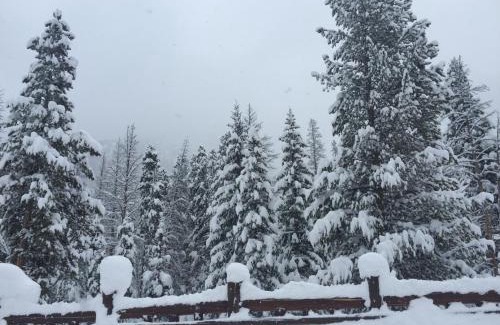 Keystone Maison | Alders 46 by SummitCove Lodging
