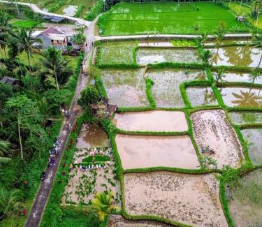 Tetebatu Maison | Aleisya Tetebatu