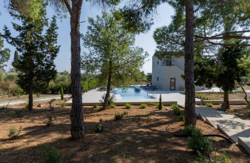 Kounopetra Appartement | Alekos Beach Houses-Akrotiri Suites