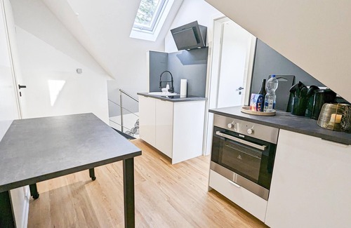 Stuttgart Appartement | ALFA Stuttgart 3BR 5 Beds Netflix INET EBK Wasen
