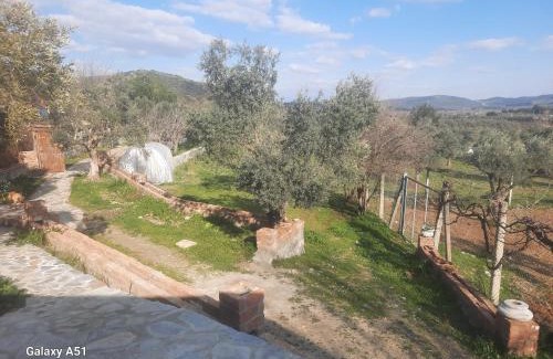 Selcuk Autre | Ali dede kamp karavan bungalow
