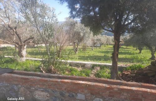 Selcuk Autre | Ali dede kamp karavan bungalow