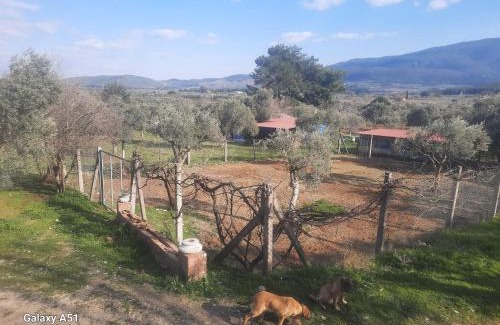Selcuk Autre | Ali dede kamp karavan bungalow