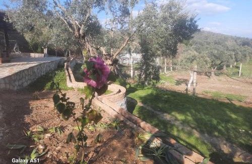 Selcuk Autre | Ali dede kamp karavan bungalow
