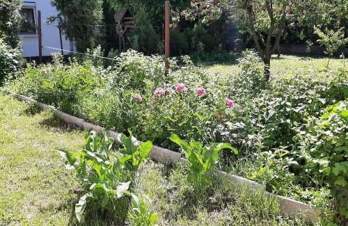 Sashalom Maison | All-in-a Good Space