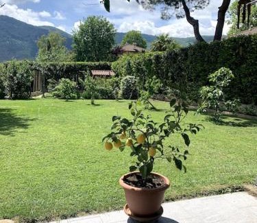 Bruino Appartement | Alle porte di Torino, ai piedi del M.te S. Giorgio