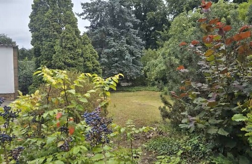 Verden Appartement | AllerGrün apartment, terrace, garden, parking space!