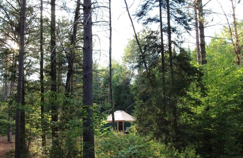 Brownfield Location De VR | Allie Mae Yurt nestled in the woods
