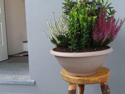 Canelli Appartement | Alloggio La Libellula