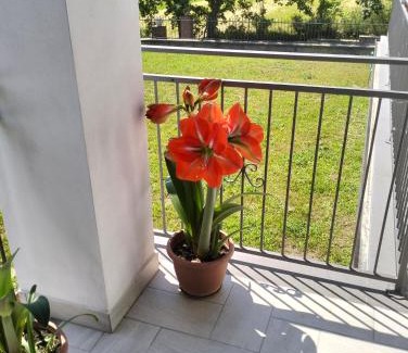 Acquapendente Appartement | alloggio le due querce
