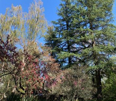 Salto del Laja Cabine | Alma Sur Lodge