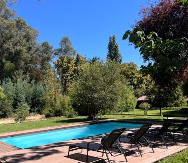 Salto del Laja Cabine | Alma Sur Lodge