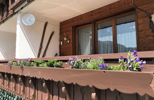 Balderschwang Appartement | Almblick Ferienwohnung mit Ausblick auf die Berge