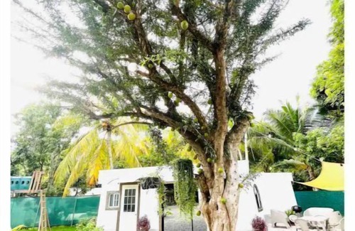 Los Cobanos Maison | Almendra Beach Place