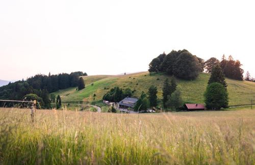 Utzenfeld Appartement | Almgasthaus Knöpflesbrunnen Vierbettzimmer 2