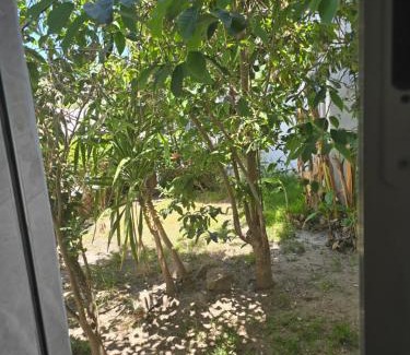 Restinga Smir Appartement | Almina plage 1