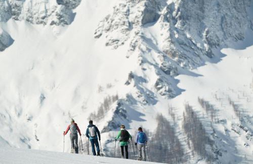 Vorderstoder Maison | Almresort Baumschlagerberg