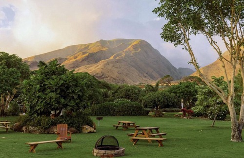 Paia Maison | Aloha Glamp in Paradise