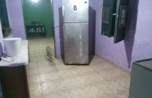 Luis Correia Maison | Aloha phb Hostel -hospedagem em Conta pra Você Próxima à da Praia de Atalaia