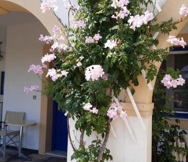 Friligkianika Appartement | Aloi Studios