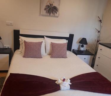 Melo Appartement | Alojamento Pelourinho